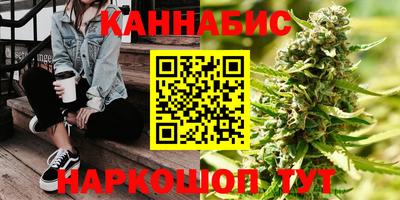 Альфа ПВП Будённовск
