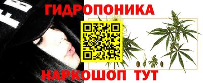 Альфа ПВП Будённовск