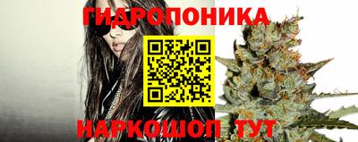 Альфа ПВП Будённовск