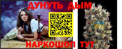 Альфа ПВП Будённовск